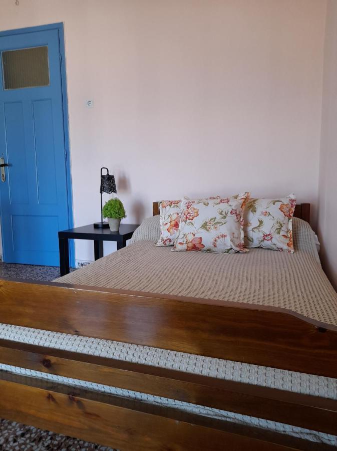 Isalos Apartments Studios Neoi Epivatai Buitenkant foto